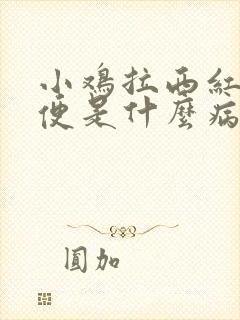 小鸡拉西红柿粪便是什么病