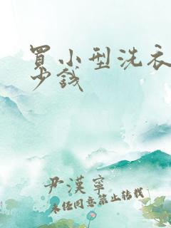 买小型洗衣机多少钱