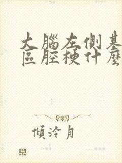 大脑左侧基底节区腔梗什么意思