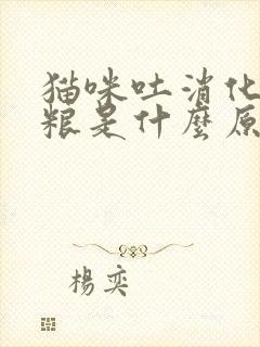 猫咪吐消化的猫粮是什么原因