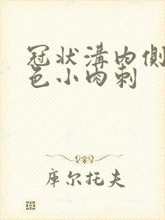 冠状沟内侧有白色小肉刺