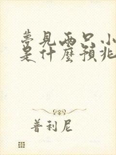 梦见两只小兔子是什么预兆