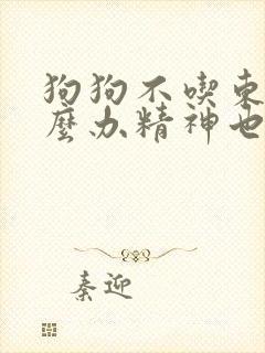 狗狗不吃东西怎么办精神也不好