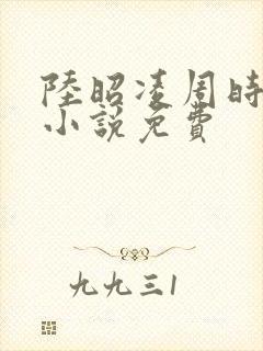 陆昭凌周时阅的小说免费