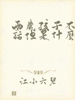 两岁孩子不肯说话但是什么都懂