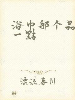 浴巾那个品牌好一点