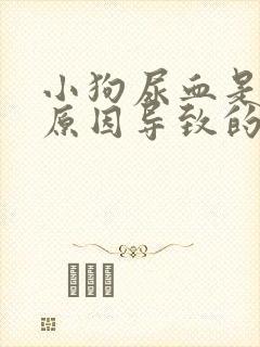 小狗尿血是什么原因导致的