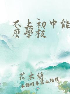 不上初中能上什么学校