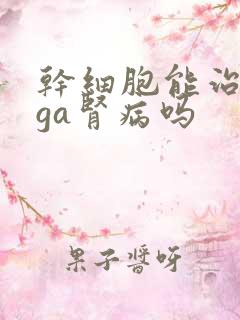 干细胞能治疗iga肾病吗