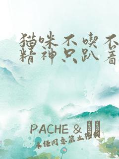 猫咪不吃不喝没精神只趴着吃什么药