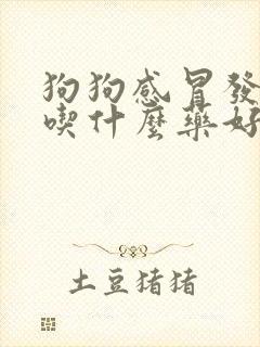 狗狗感冒发烧了吃什么药好得快