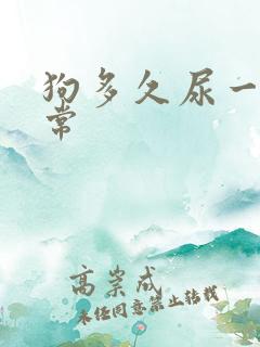 狗多久尿一次正常