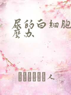 尿的白细胞高怎么办