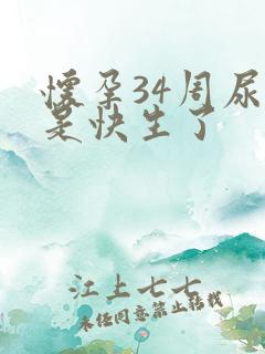 怀孕34周尿频是快生了