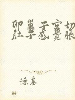 卵巢子宫切除后肚子感觉胀胀的