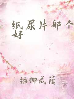 纸尿片哪个牌子好