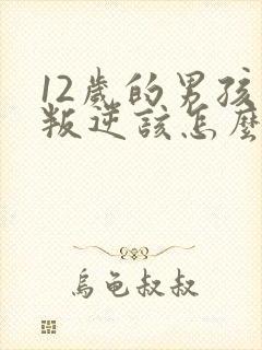 12岁的男孩子叛逆该怎么处理