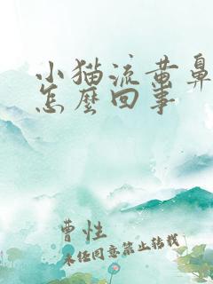 小猫流黄鼻涕是怎么回事