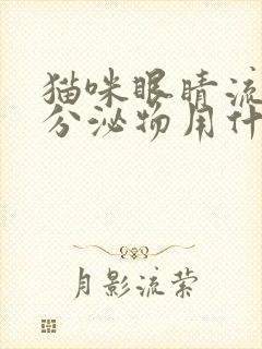 猫咪眼睛流泪有分泌物用什么眼药水