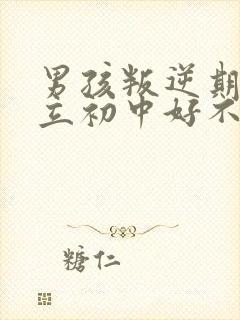 男孩叛逆期读私立初中好不好