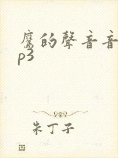 鹰的声音音效mp3