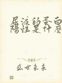 尿液的蛋白质弱阳性是什么意思