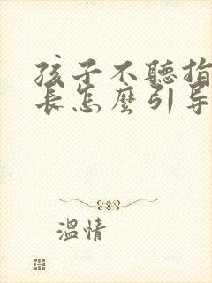 孩子不听指令家长怎么引导