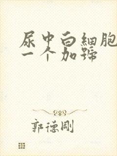 尿中白细胞酯酶一个加号