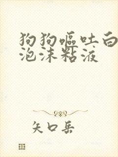 狗狗呕吐白色的泡沫粘液