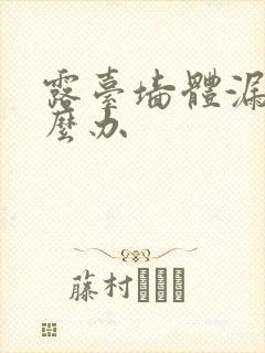 露台墙体漏水怎么办