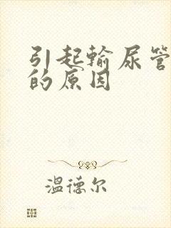 引起输尿管结石的原因