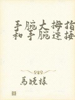 手腕大拇指根处和手腕连接处疼