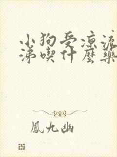 小狗受凉流清鼻涕吃什么药