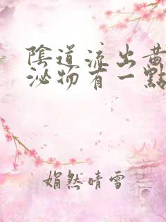 阴道流出黄色分泌物有一点腥味