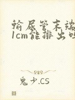 输尿管末端结石1cm能排出吗