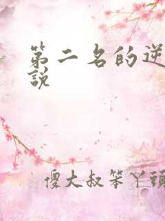 第二名的逆袭小说