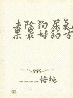 去除狗尿气味效果最好的方法