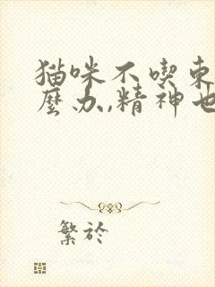 猫咪不吃东西怎么办,精神也不好呕吐