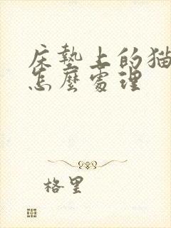 床垫上的猫尿渍怎么处理