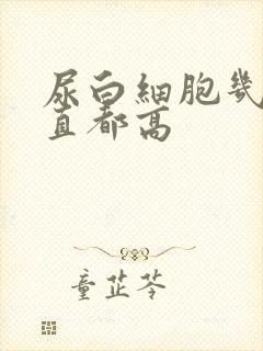 尿白细胞几年一直都高