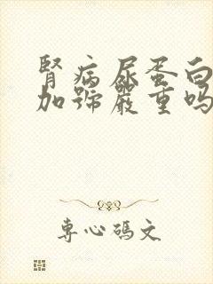 肾病尿蛋白2个加号严重吗