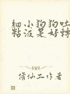 细小狗狗吐白色粘液是好转还是恶化