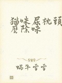 猫咪尿枕头上怎么除味