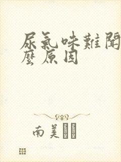 尿气味难闻是什么原因