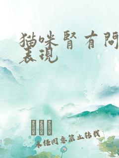 猫咪肾有问题的表现