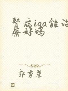 肾病iga能治疗好吗