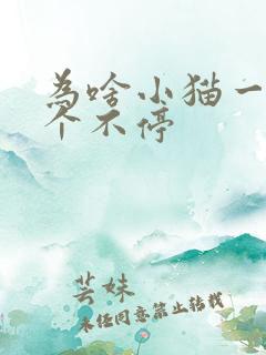 为啥小猫一直叫个不停