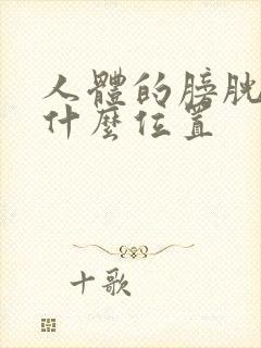 人体的膀胱经在什么位置