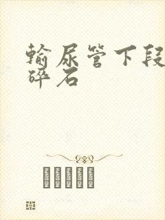 输尿管下段结石碎石