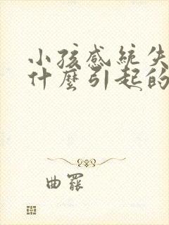 小孩感统失调是什么引起的